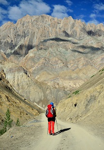 Trek through Suru Valley